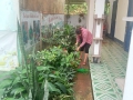 Trường MN Tân Thành tổ chức vệ sinh môi trường và chăm sóc vườn hoa cây cảnh trong thời gian nghỉ hè